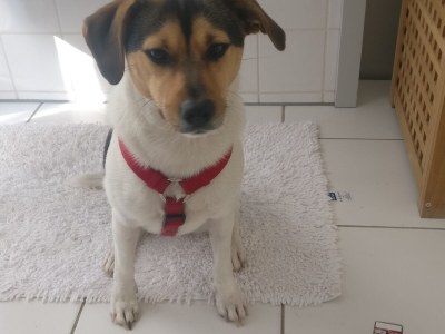 Holiday apartment Uta Helene Götz - Outdoor photo 3