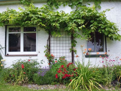 Holiday apartment Uta Helene Götz - Outdoor photo 5