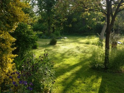 Holiday apartment Uta Helene Götz - Outdoor photo 9