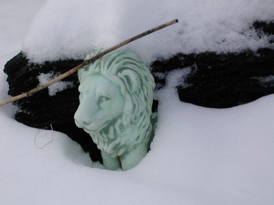 Holiday apartment Uta Helene Götz - Outdoor photo 16