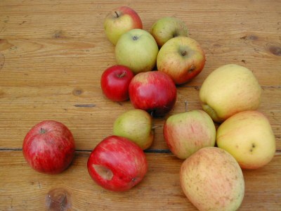 Holiday apartment Uta Helene Götz - Outdoor photo 17