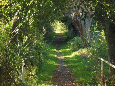 Holiday apartment Uta Helene Götz - Environment photo 33