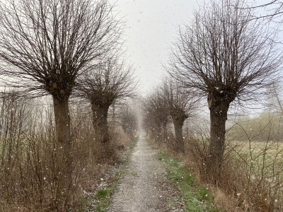 Holiday apartment Uta Helene Götz - Environment photo 34