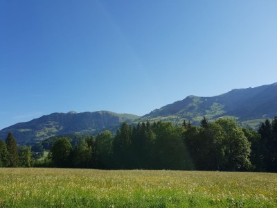 Holiday apartment De Martin - Outdoor photo 7