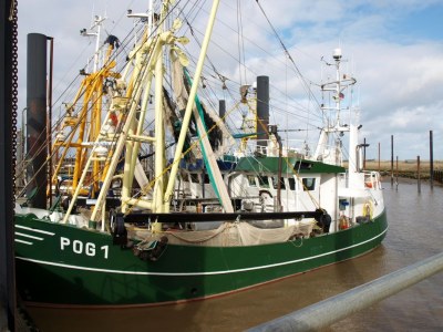 Holiday house Tonis-Wulkje 2 - Environment photo 20