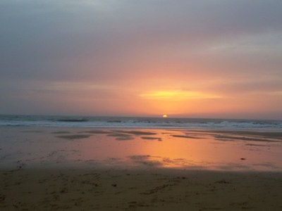 Holiday house la Jardinerie - Document photo 32