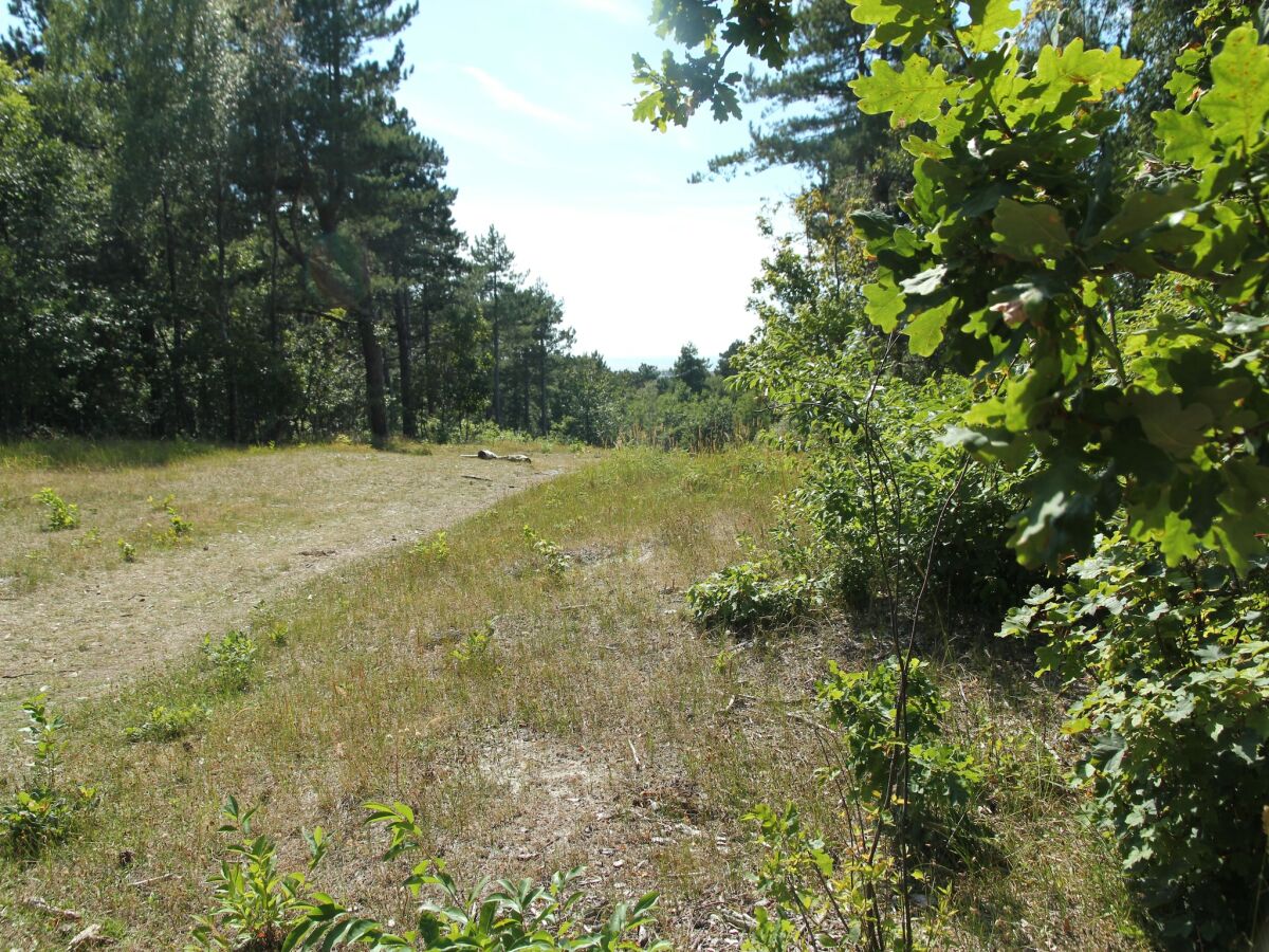 Apartment Wohnung in Bergen aan Zee am Strand - Outdoor photo 5