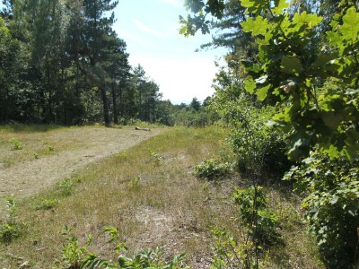 Apartment Wohnung in Bergen aan Zee am Strand - Outdoor photo 5