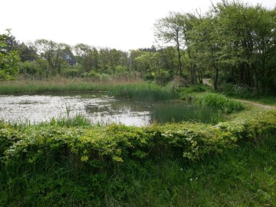 Apartment Wohnung in Bergen aan Zee am Strand - Environment photo 36