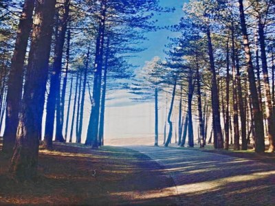 Apartment Wohnung in Nordholland - Environment photo 24