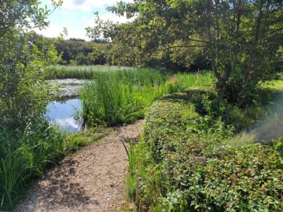 Apartment Wohnung in Nordholland - Environment photo 27