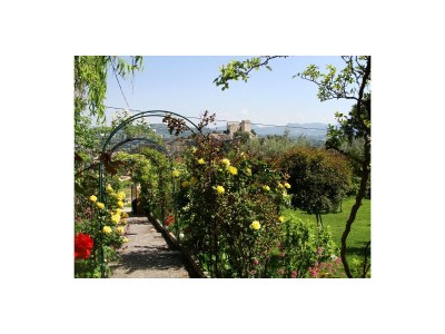 Holiday house La Roseraie - Outdoor photo 12