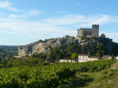 Holiday house La Roseraie - Outdoor photo 13