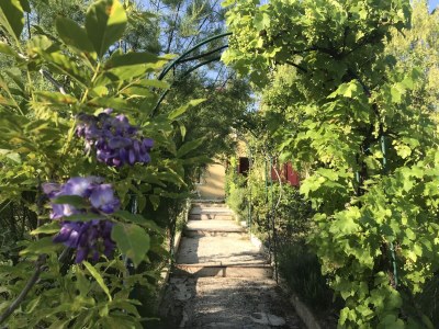 Holiday house La Roseraie - Outdoor photo 16