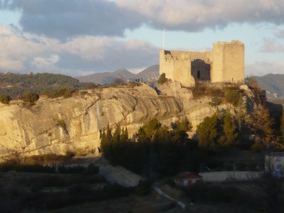 Holiday house La Roseraie - Environment photo 25
