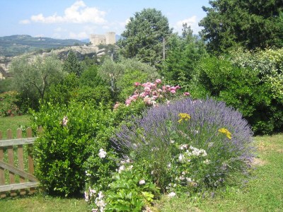 Holiday house La Roseraie - Environment photo 26