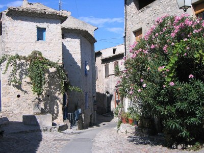 Holiday house La Roseraie - Environment photo 29