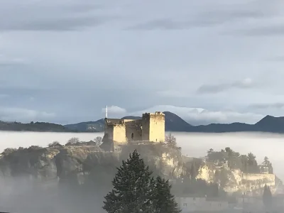 Holiday house La Roseraie - Environment photo 36