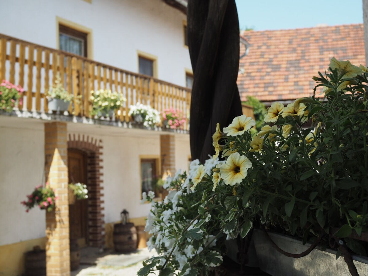 Holiday house Haslinger - Outdoor photo 3