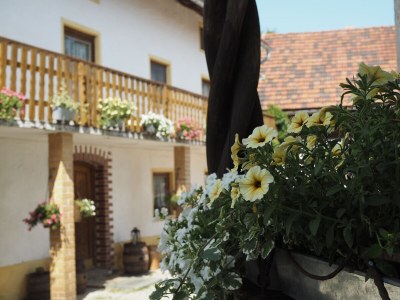 Holiday house Haslinger - Outdoor photo 3