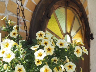 Holiday house Haslinger - Outdoor photo 7