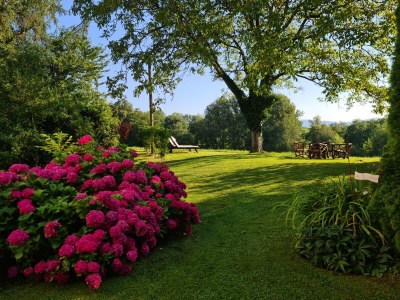 Holiday house Haslinger - Outdoor photo 15