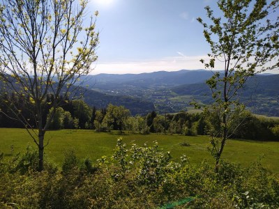 Holiday house Haslinger - Environment photo 38