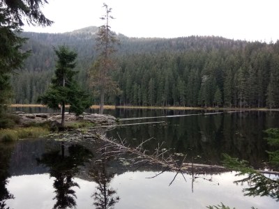 Holiday house Haslinger - Environment photo 40