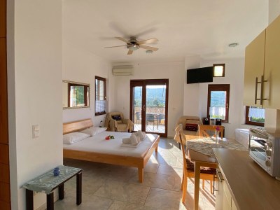 Apartment Athina - Potistika - Pilion - Features photo 22