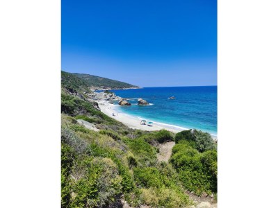 Apartment Athina - Potistika - Pilion - Environment photo 27