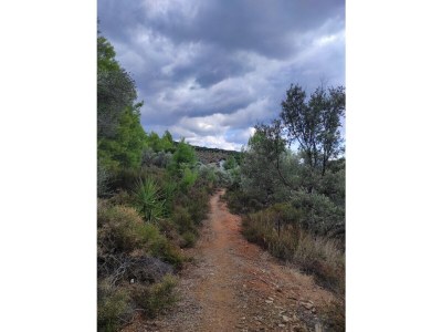 Apartment Athina - Potistika - Pilion - Environment photo 34