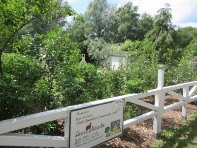 Holiday house Haus Barby - Outdoor photo 3