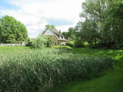 Holiday house Haus Barby - Outdoor photo 14