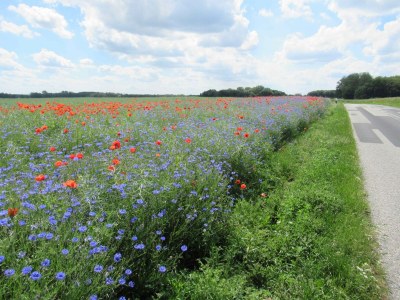 Holiday house Haus Barby - Document photo 42