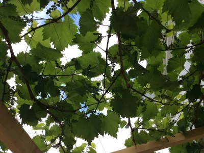 Holiday apartment Majda - Outdoor photo 4