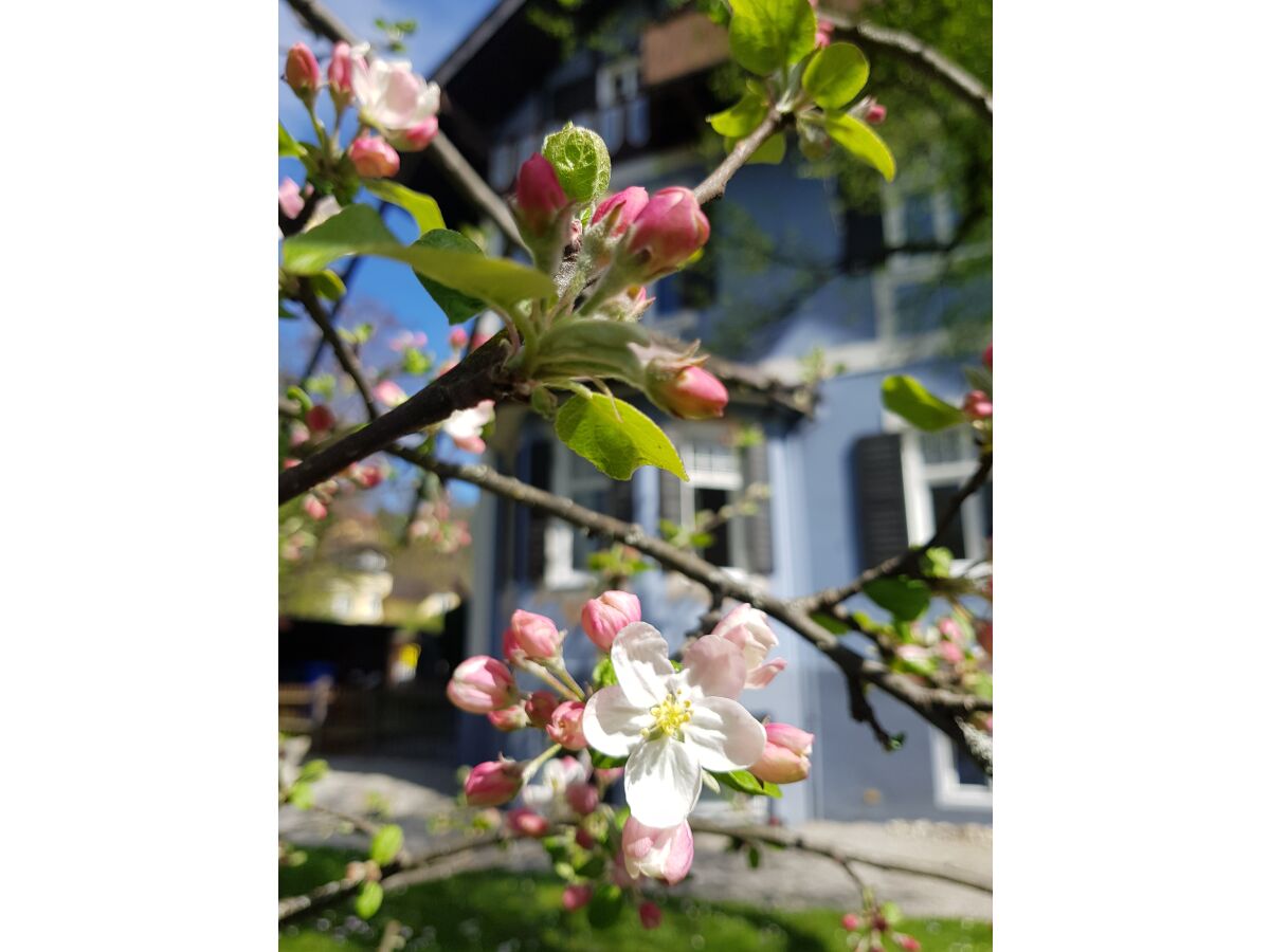 Holiday apartment - No title - - Outdoor photo 5