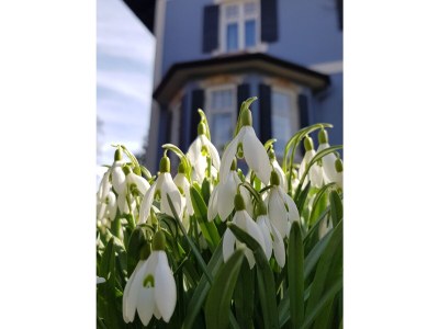 Holiday apartment - No title - - Outdoor photo 4