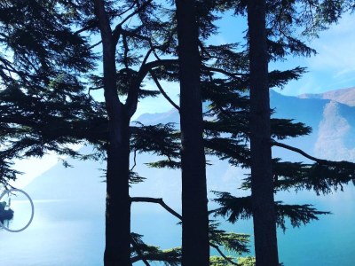 Holiday apartment Palazzo (at Lake Como) - Environment photo 43