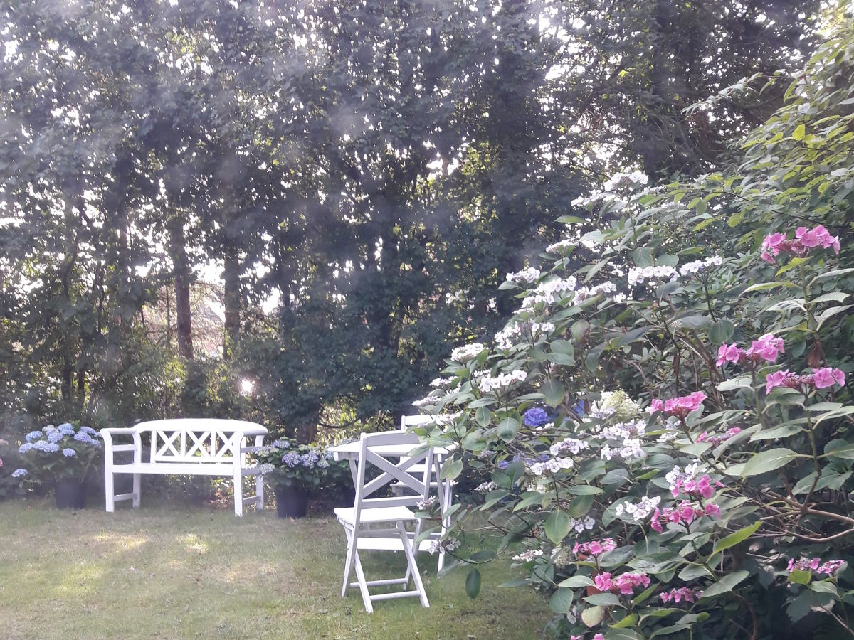 Holiday apartment Villa Flora - Outdoor photo 2