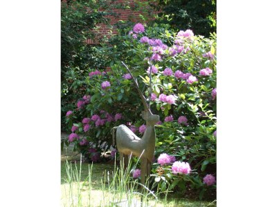 Holiday apartment Villa Flora - Outdoor photo 6