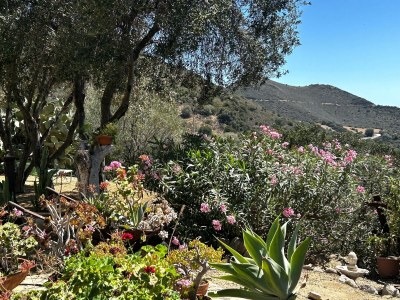 Holiday house Casa Solaria - Outdoor photo 20