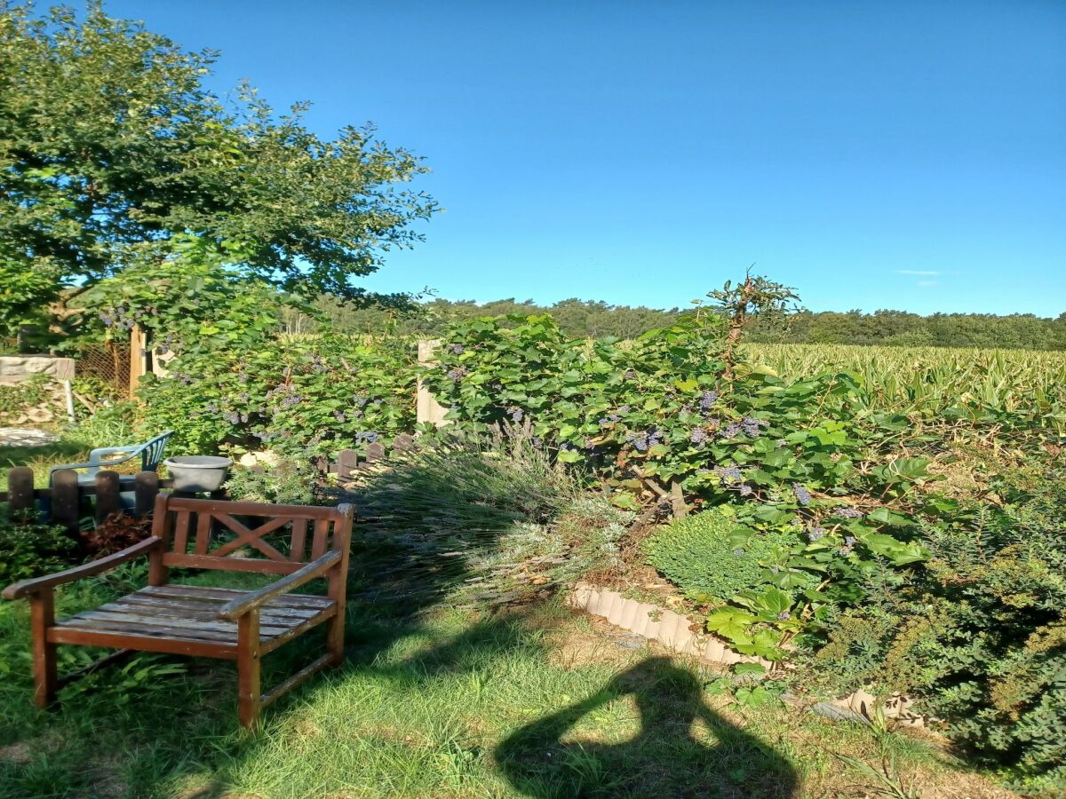 Bungalow Gemütlicher Bungalow mit Garten in Nakenstorf - Outdoor photo 2