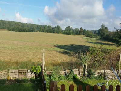 Bungalow Gemütlicher Bungalow mit Garten in Nakenstorf - Outdoor photo 7