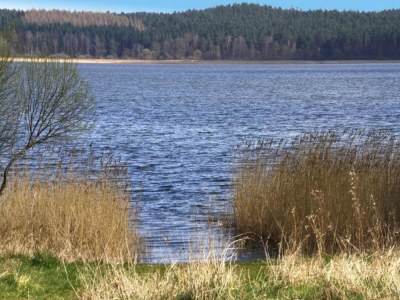 Bungalow Gemütlicher Bungalow mit Garten in Nakenstorf - Environment photo 34