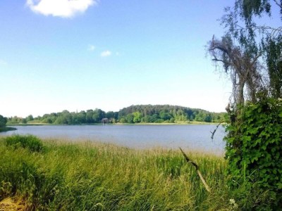 Bungalow Gemütlicher Bungalow mit Garten in Nakenstorf - Environment photo 37