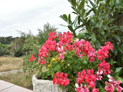 Bungalow Gemütlicher Bungalow mit Garten in Nakenstorf - Outdoor photo 39