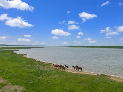 Bungalow Schöner Bungalow in Poel in Strandnähe - Environment photo 28