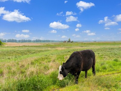 Bungalow Schöner Bungalow in Poel in Strandnähe - Environment photo 31