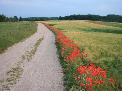 Apartment Klütz Küstenkomfort - Environment photo 27
