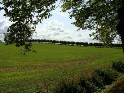 Apartment Klütz Küstenkomfort - Environment photo 28